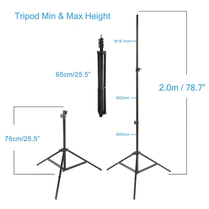 300/500W Studio Fresnel Spotlight with Bulb and Light Stand