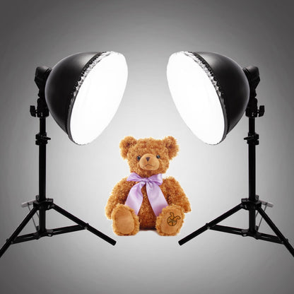 Mini Studio Continuous Lighting Kit with 45W Bulb, Stand and Softbox, 2 Sets