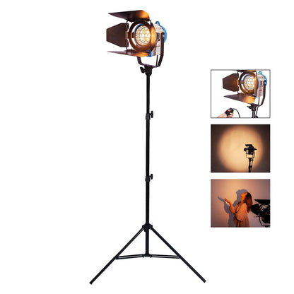 300/500W Studio Fresnel Spotlight with Bulb and Light Stand