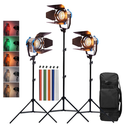 300/500W Fresnel Tungsten Spotlight x3 & Stands, Equipment Bag, Gels