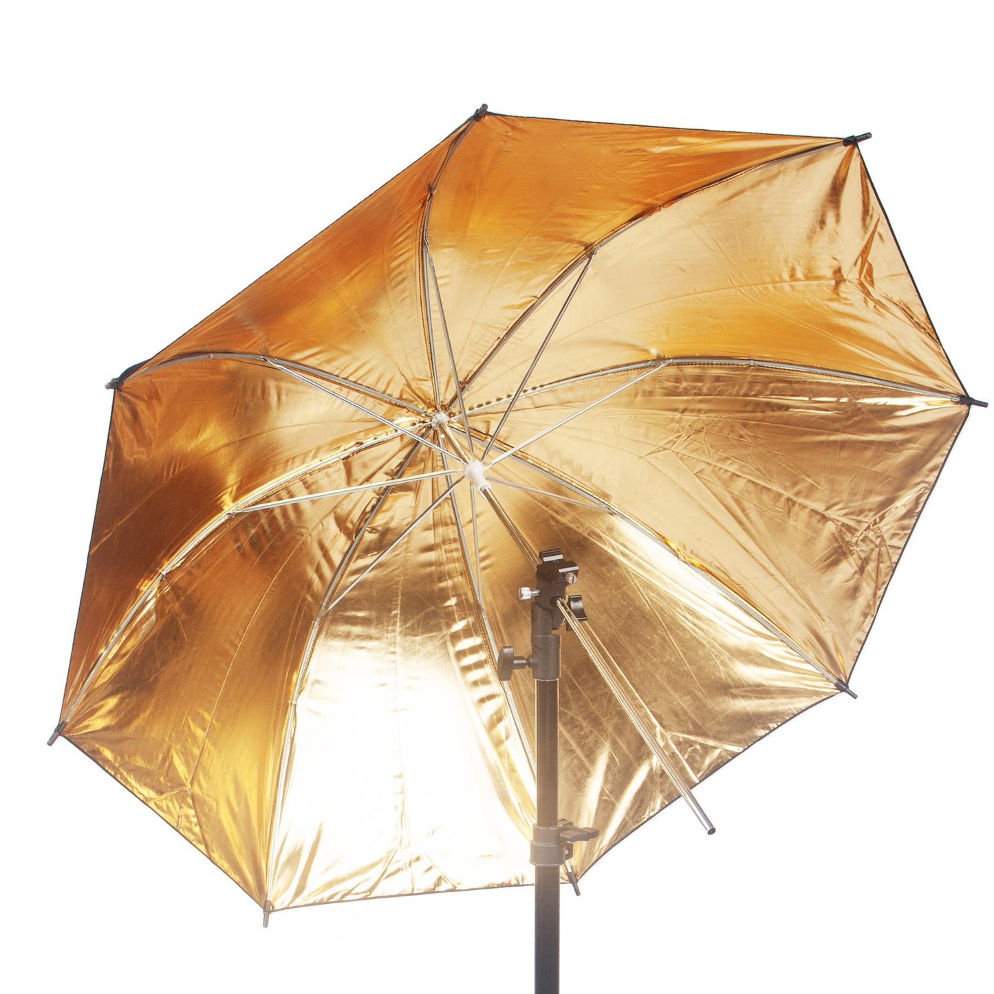 2x 33" (84cm) Professional Umbrella with Gold Reflector